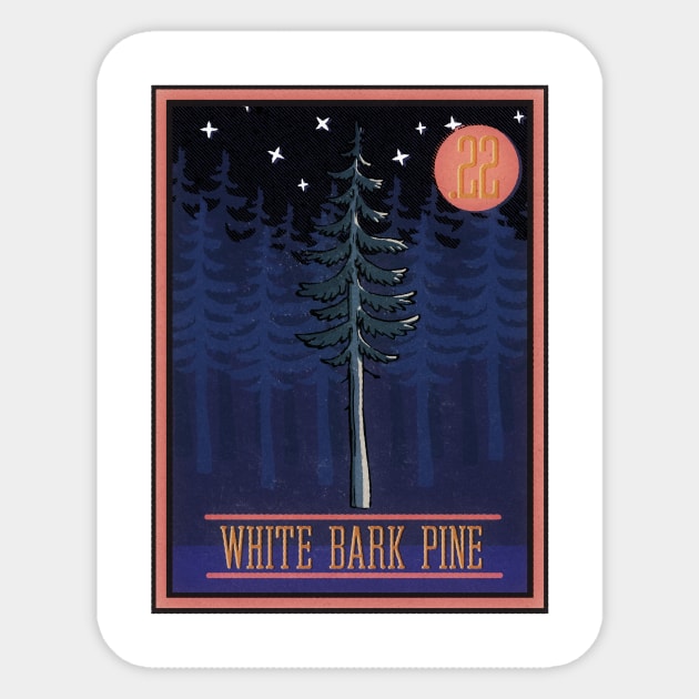 No. 22 White Bark Pine Sticker by theBenCorlett